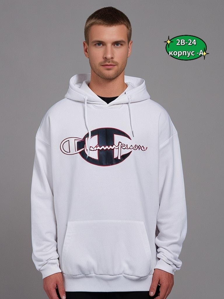 толстовки champion,толстовки,толстовки худи,мужская толстовка,толстовка с капюшоном