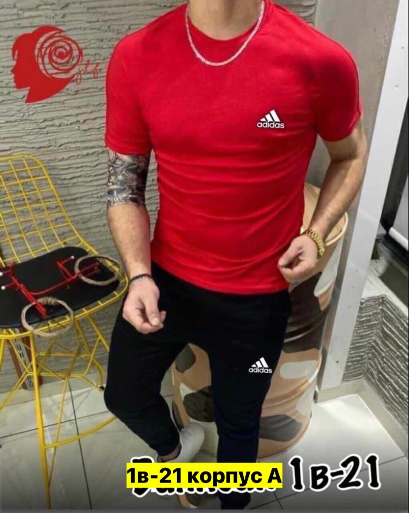 костюм футболка, ,костюм спортивный мужской,костюм футболка и штаны,спортивные костюм