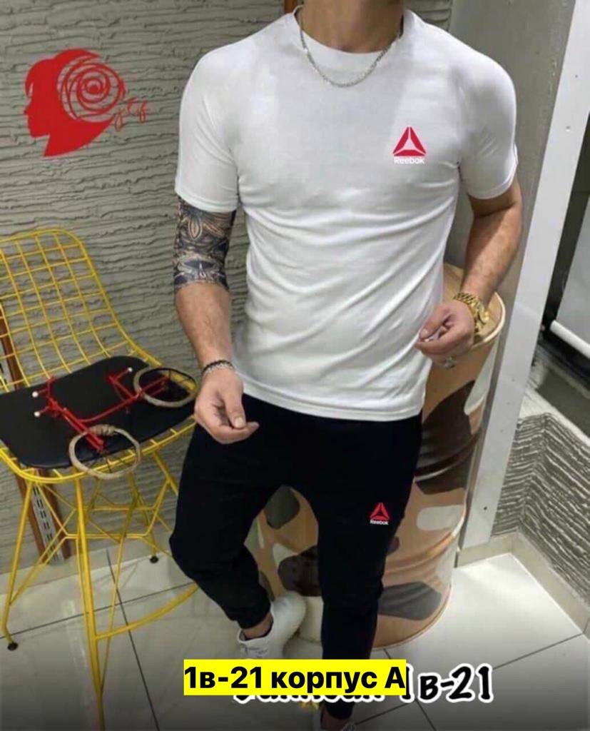 костюм футболка, ,костюм спортивный мужской,костюм футболка и штаны,спортивные костюм