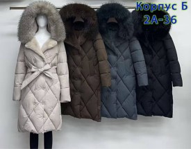 Верхняя одежда