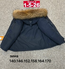 Верхняя одежда