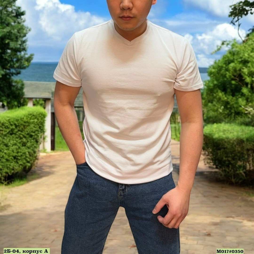 футболки мужские белые,мужская футболка,футболки для мужчин,белые футболки,фотографии мужские