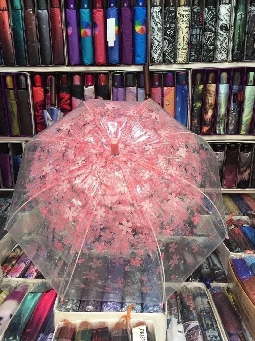 прозрачный зонт,прозрачный зонтик,прозрачный зонт трость,зонт,детские зонтики