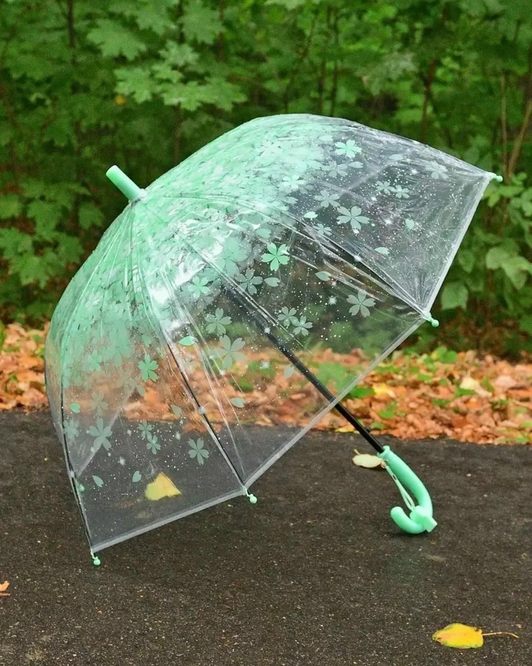 прозрачный зонт,прозрачный зонтик,прозрачный зонт трость,зонт,детские зонтики