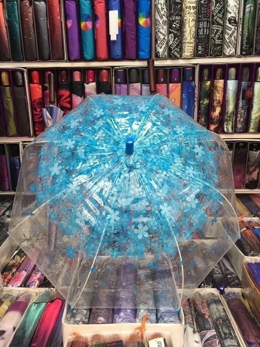 прозрачный зонт,прозрачный зонтик,прозрачный зонт трость,зонт,детские зонтики