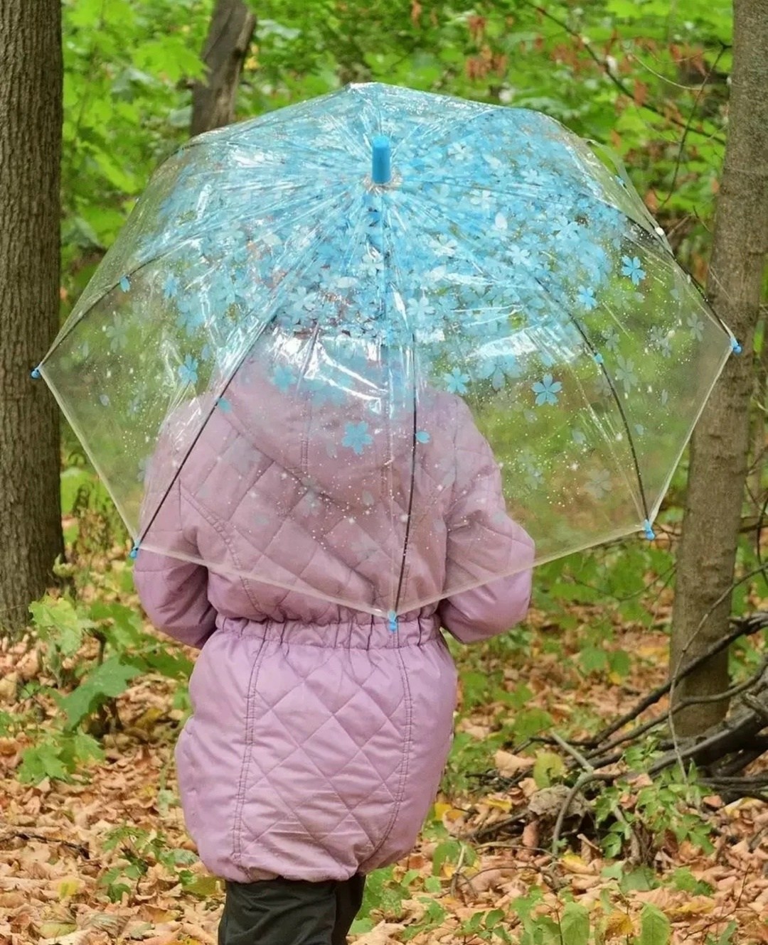 прозрачный зонт,прозрачный зонтик,прозрачный зонт трость,зонт,детские зонтики