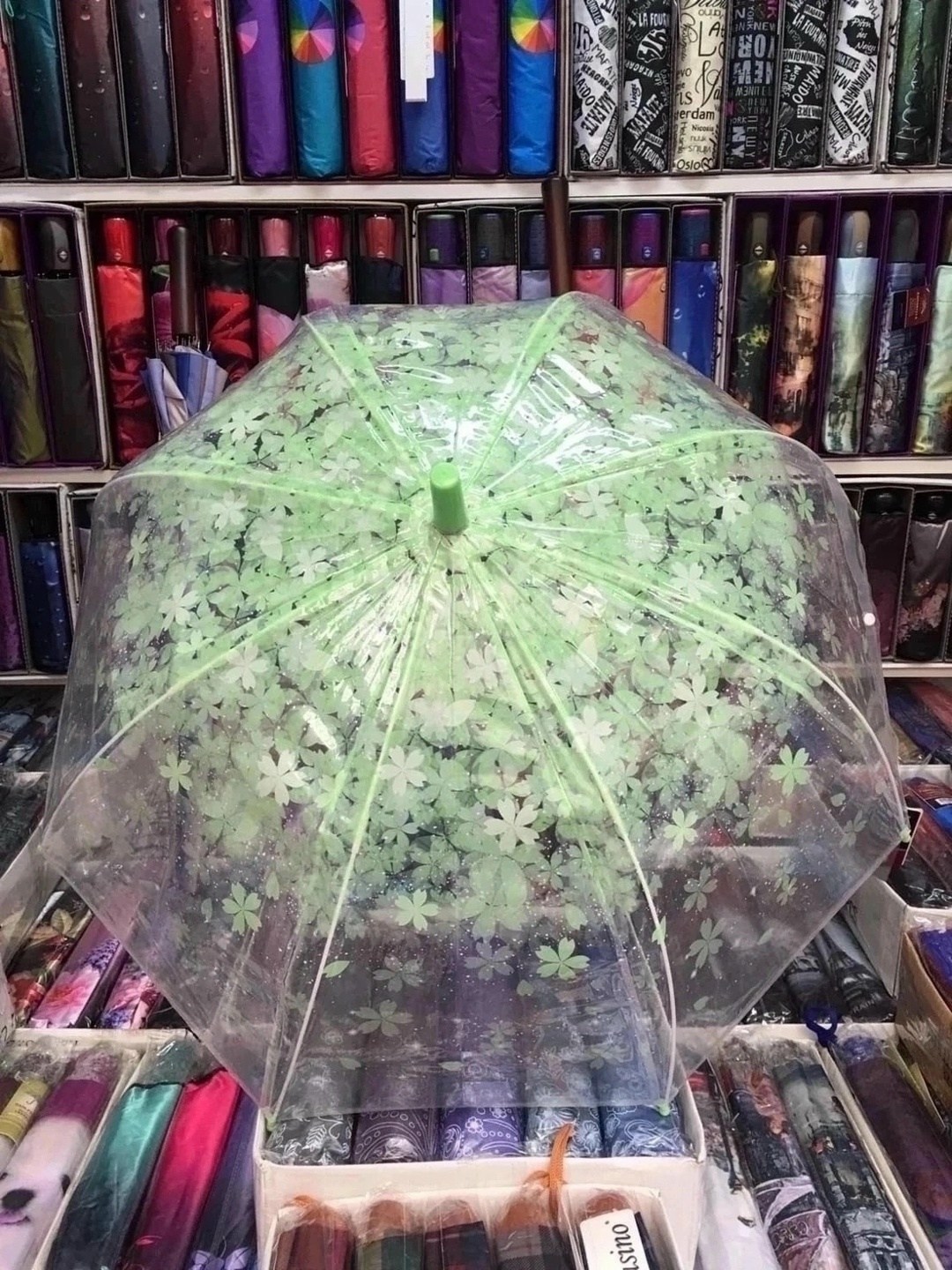 прозрачный зонт,прозрачный зонтик,прозрачный зонт трость,зонт,детские зонтики