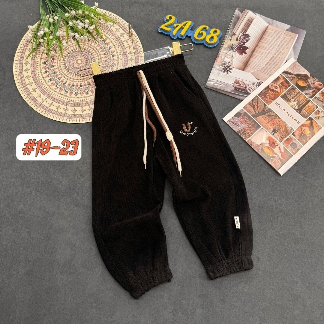 брюки штаны,штаны теплый,штаны с начесом,брюки для мальчика,одежда штаны