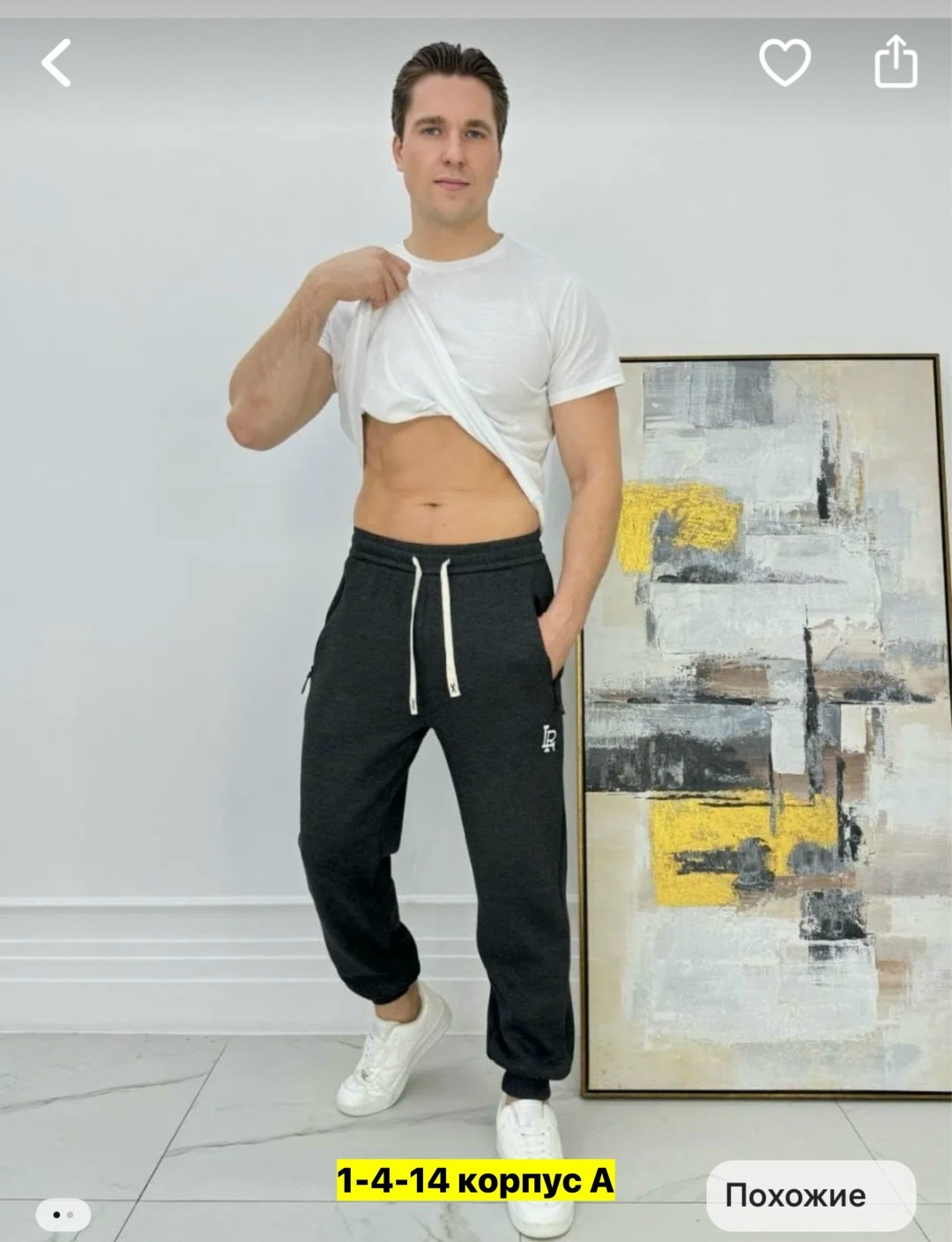 брюки спортивные,спортивные брюки мужские,штаны джоггеры,спортивные штаны мужские,спортивные штаны