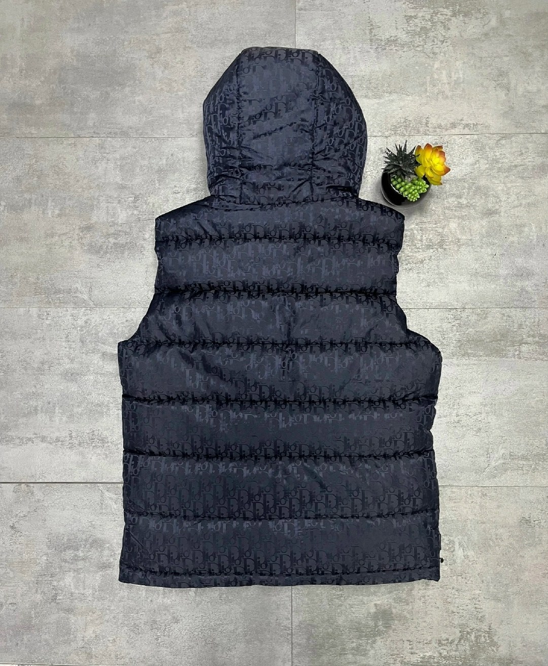 куртка dior,пуховик dior,куртка dior oblique,куртка диор,пуховик dior oblique