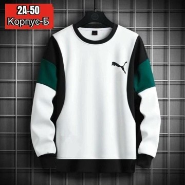 Мужская одежда