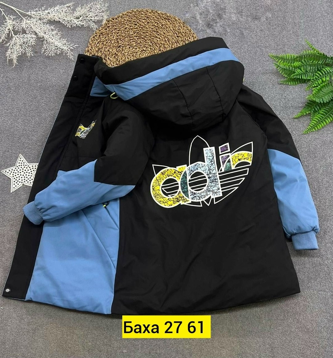 демисезонная куртка,куртка демисезонная детская,куртка для мальчика,куртка,куртка детская