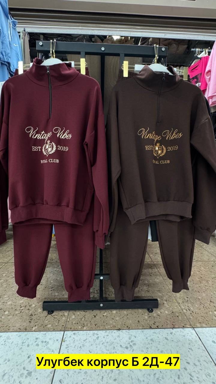 ,костюм женский на флисе,женские спортивные костюмы,свитшот женская,модные свитшоты