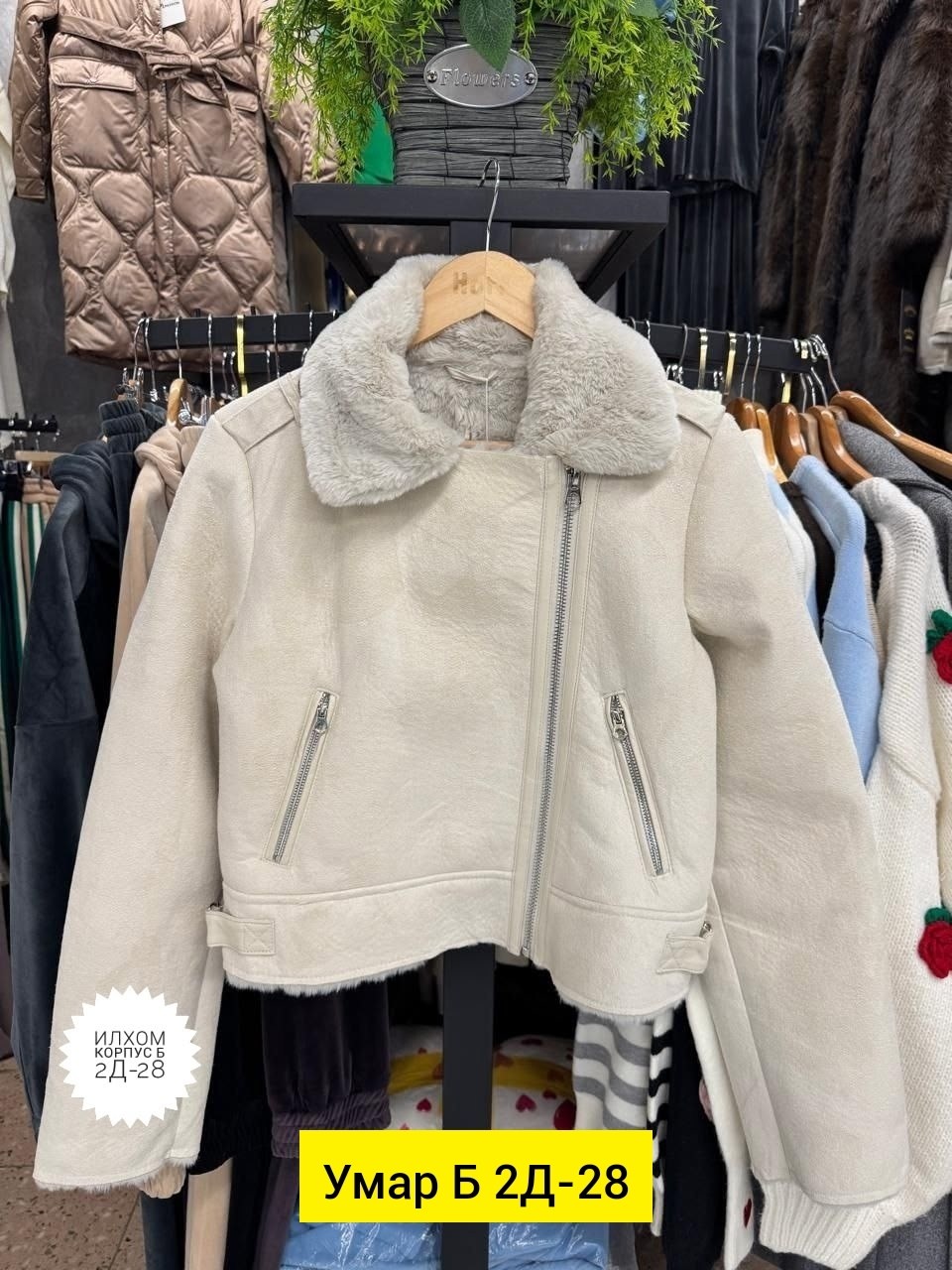 Женская одежда