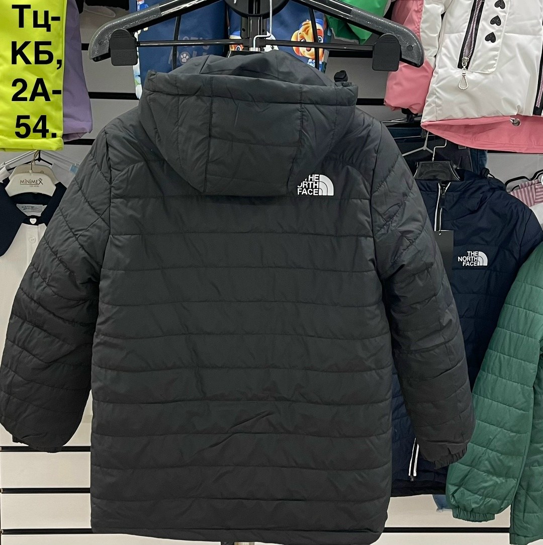 куртка демисезонная,куртка,мужская демисезонная куртка,куртка the north face,куртка мужская