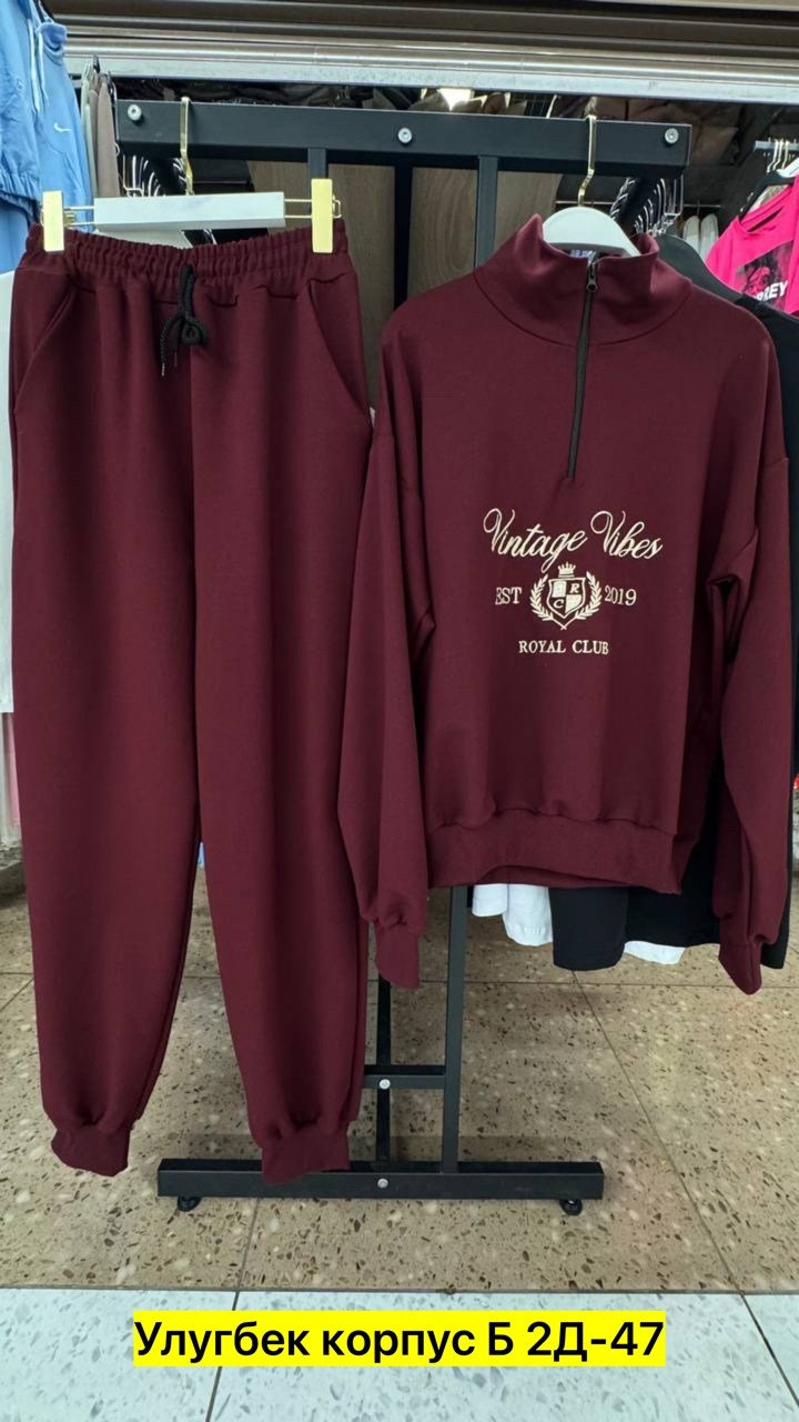 ,костюм женский на флисе,женские спортивные костюмы,свитшот женская,модные свитшоты