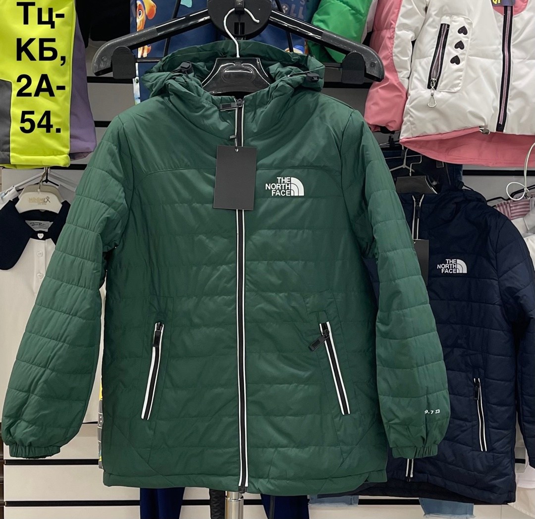 куртка демисезонная,куртка,мужская демисезонная куртка,куртка the north face,куртка мужская