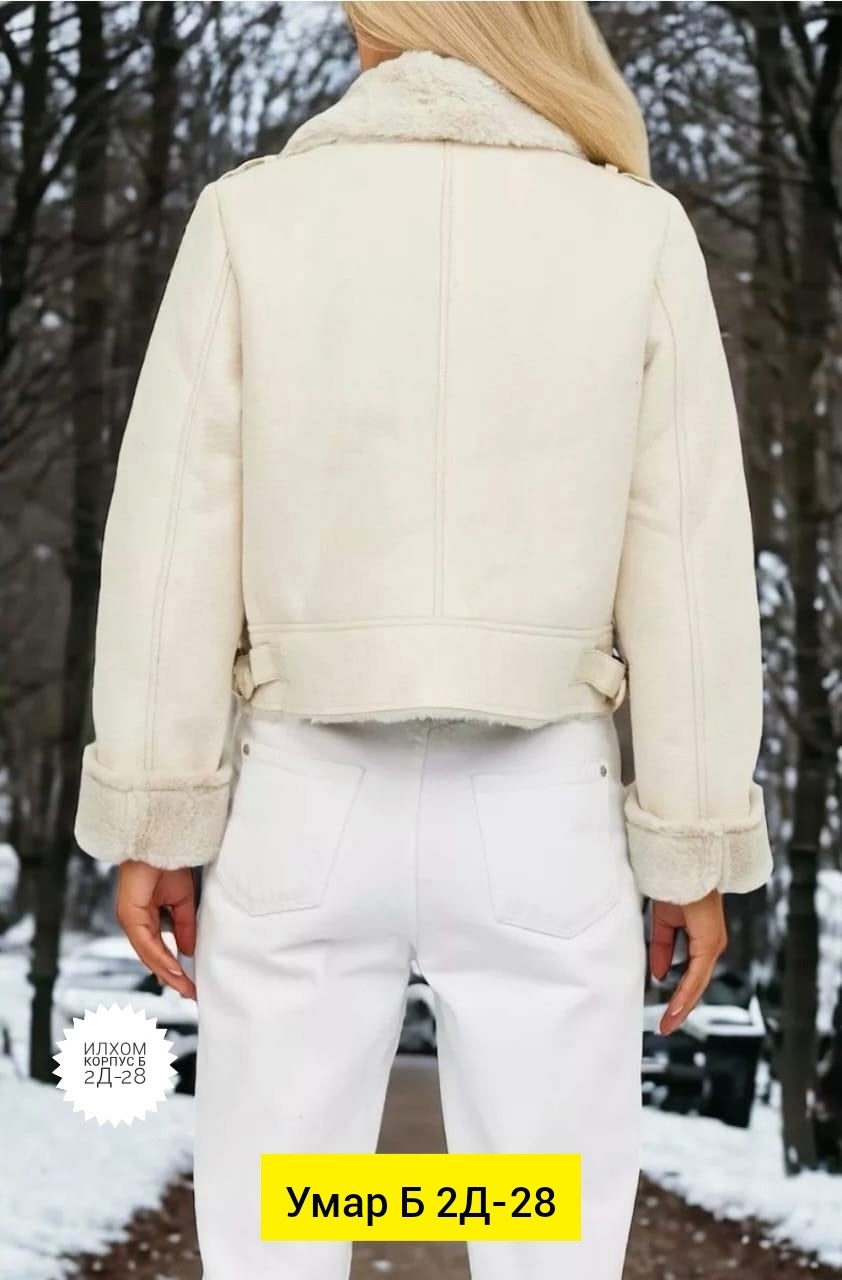 Женская одежда