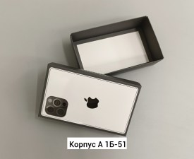 Одежда