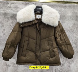 Верхняя одежда