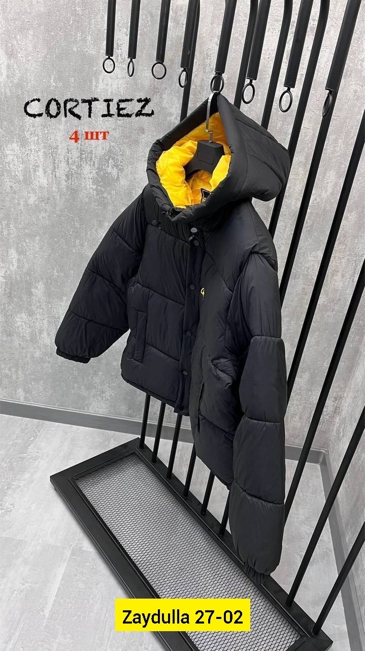 куртка пуховик,зимняя куртка пуховик,пуховик,пуховик the north face 700,куртка зимняя для подростка