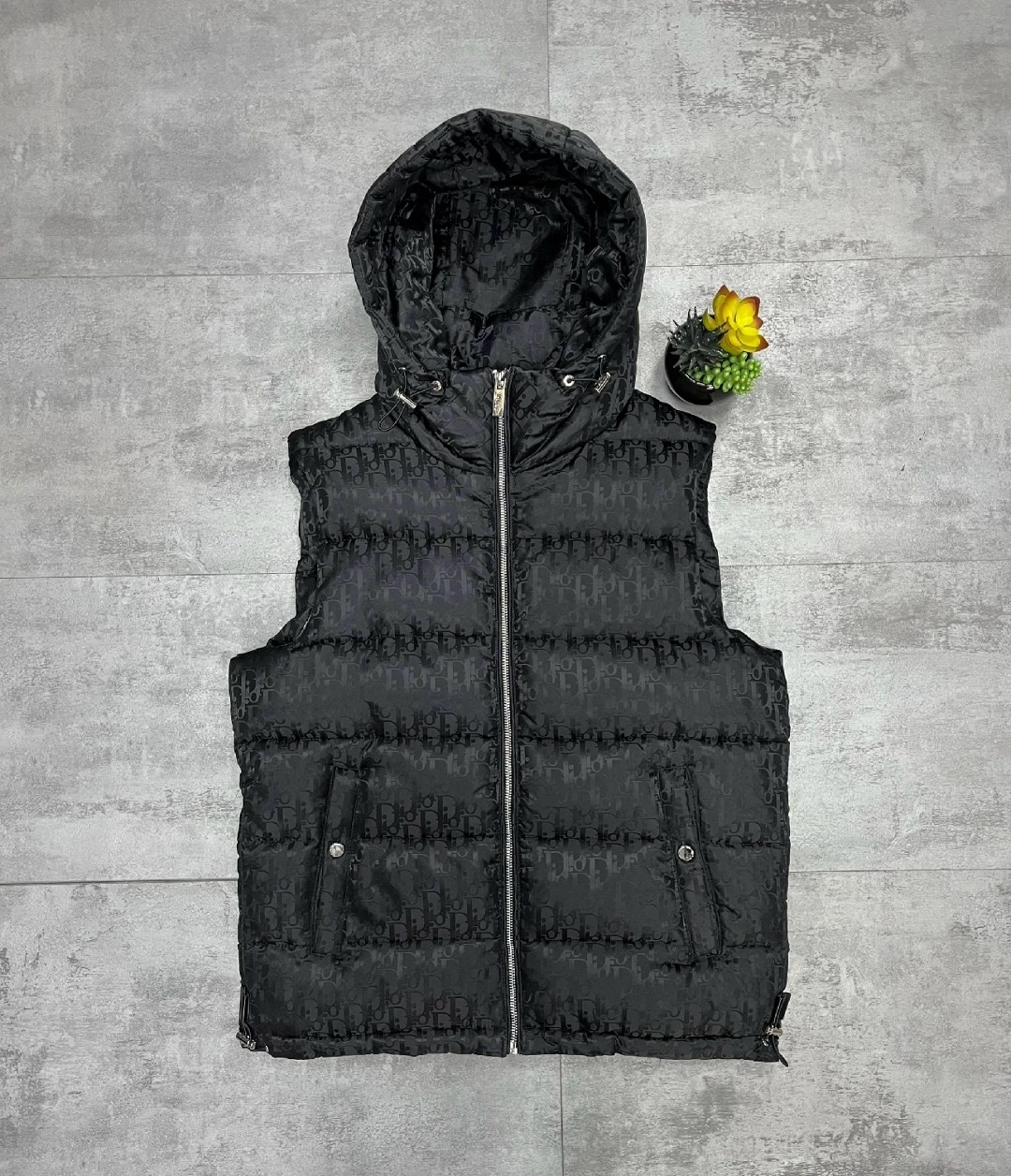 куртка dior,пуховик dior,куртка dior oblique,куртка диор,пуховик dior oblique