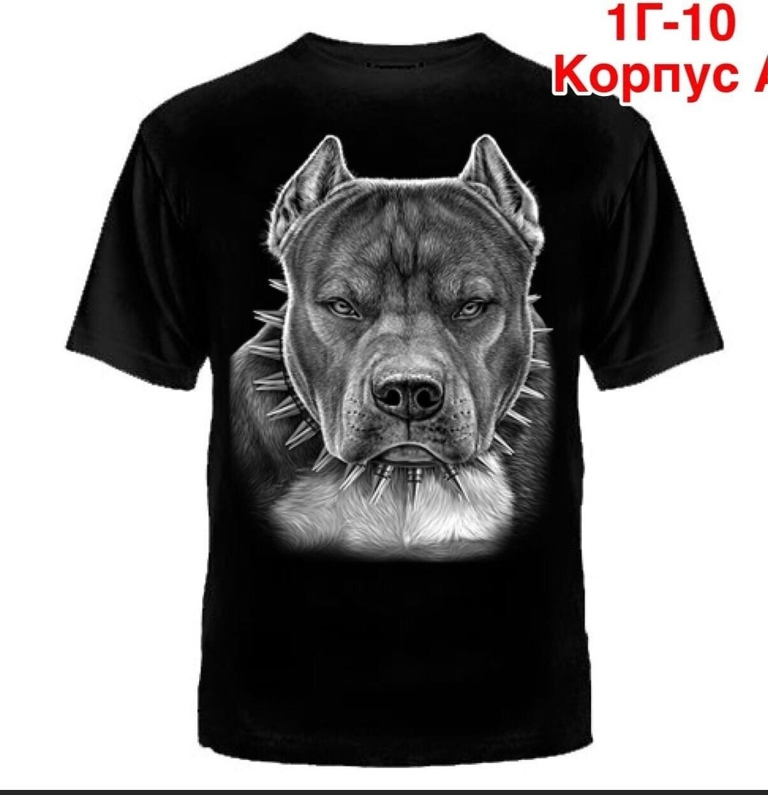 самый крутой рыбак футболка,футболка самый главный рыбак в мире,футболка самый лучший рыбак,футболка для рыбака,футболка самый главный рыбак