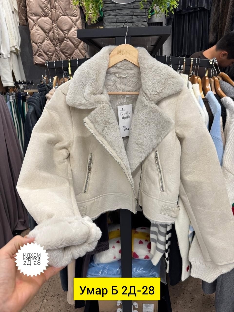 Женская одежда