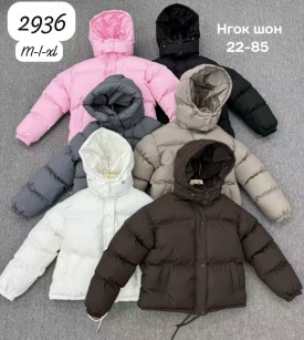 Верхняя одежда