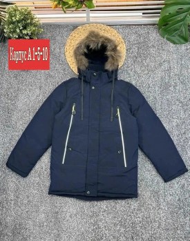 Верхняя одежда