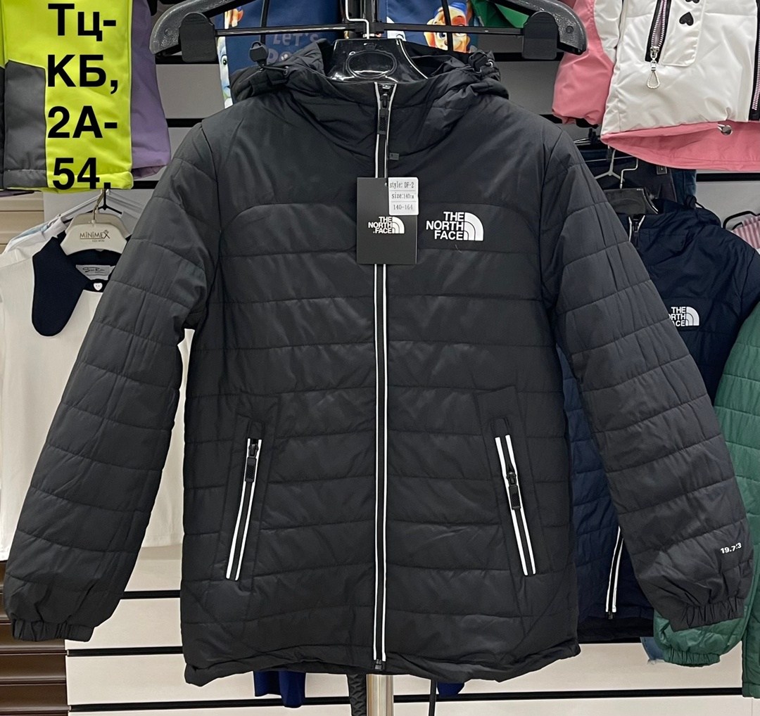 куртка демисезонная,куртка,мужская демисезонная куртка,куртка the north face,куртка мужская