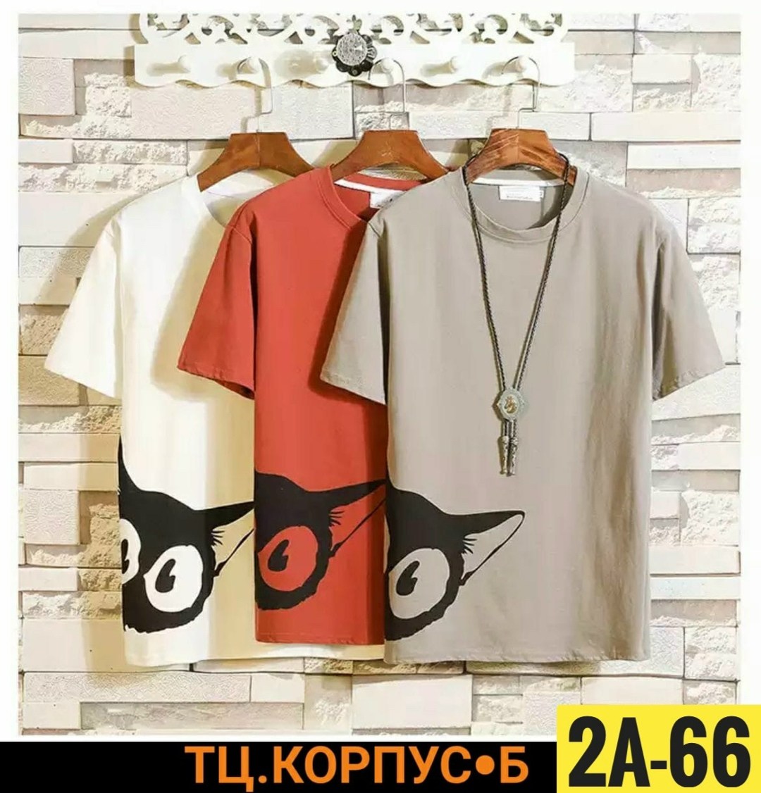 Мужская одежда