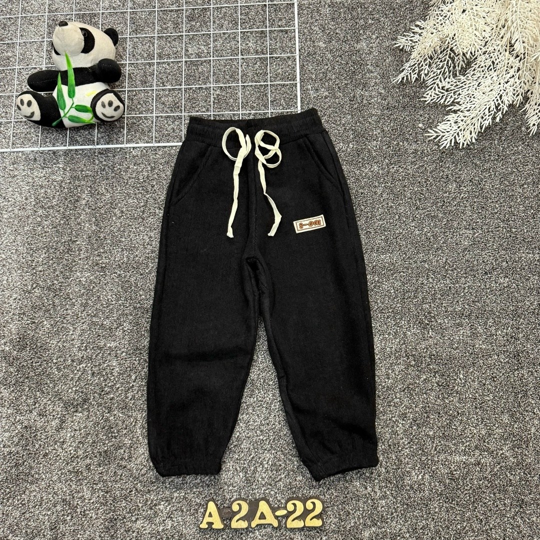 детские штаны,штаны с начесом,брюки детские,брюки для мальчика,повседневные штаны