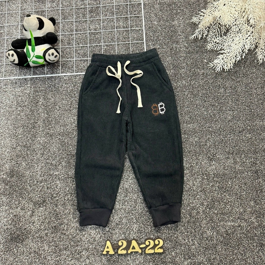 детские штаны,штаны с начесом,брюки детские,брюки для мальчика,повседневные штаны