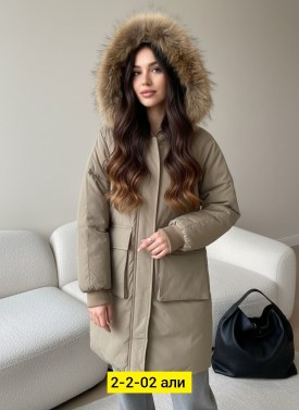 Верхняя одежда