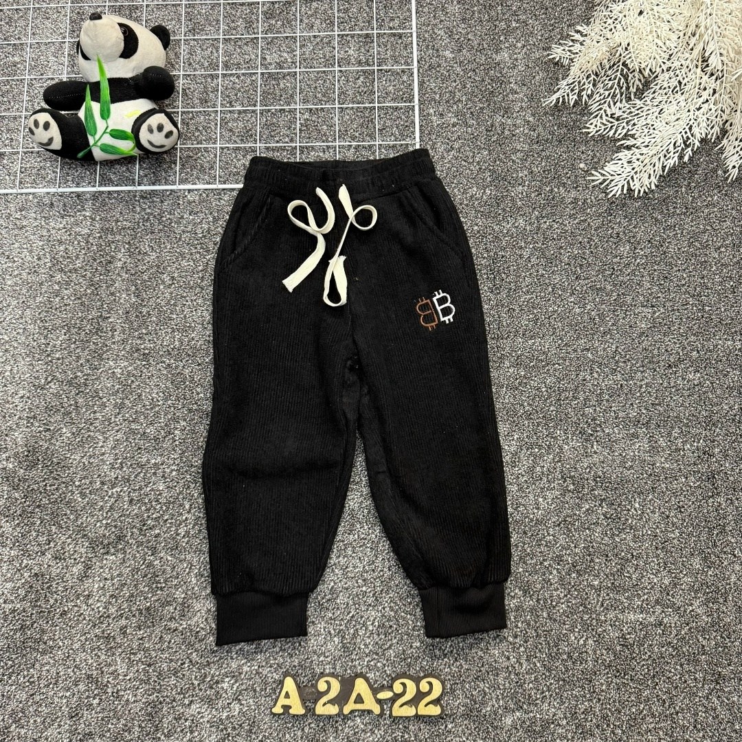 детские штаны,штаны с начесом,брюки детские,брюки для мальчика,повседневные штаны