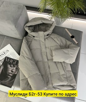 Верхняя одежда