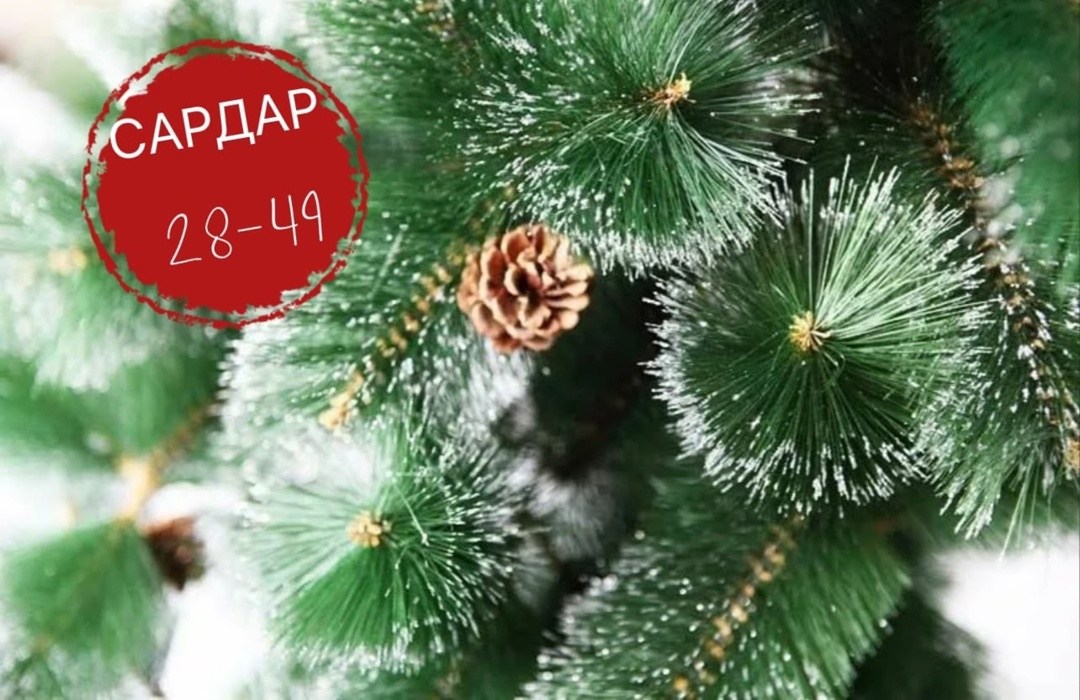 елка искусственная,елка сосна искусственная 210 см с шишками,елка искусственная 240 см,ёлка искусственная новогодняя /сосна 180см,елка искусственная сосна