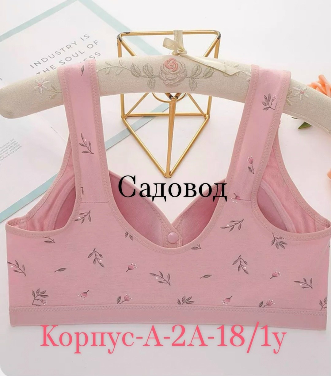 женские бюстгальтеры,бюстгальтер,женская нижнее белье,бюстгальтер для женщин,бюстгальтер нижнее белье