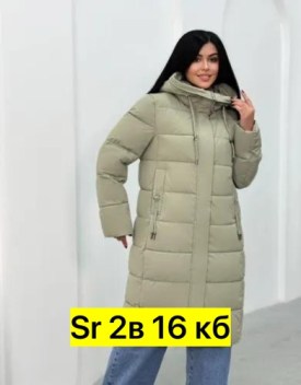 Верхняя одежда