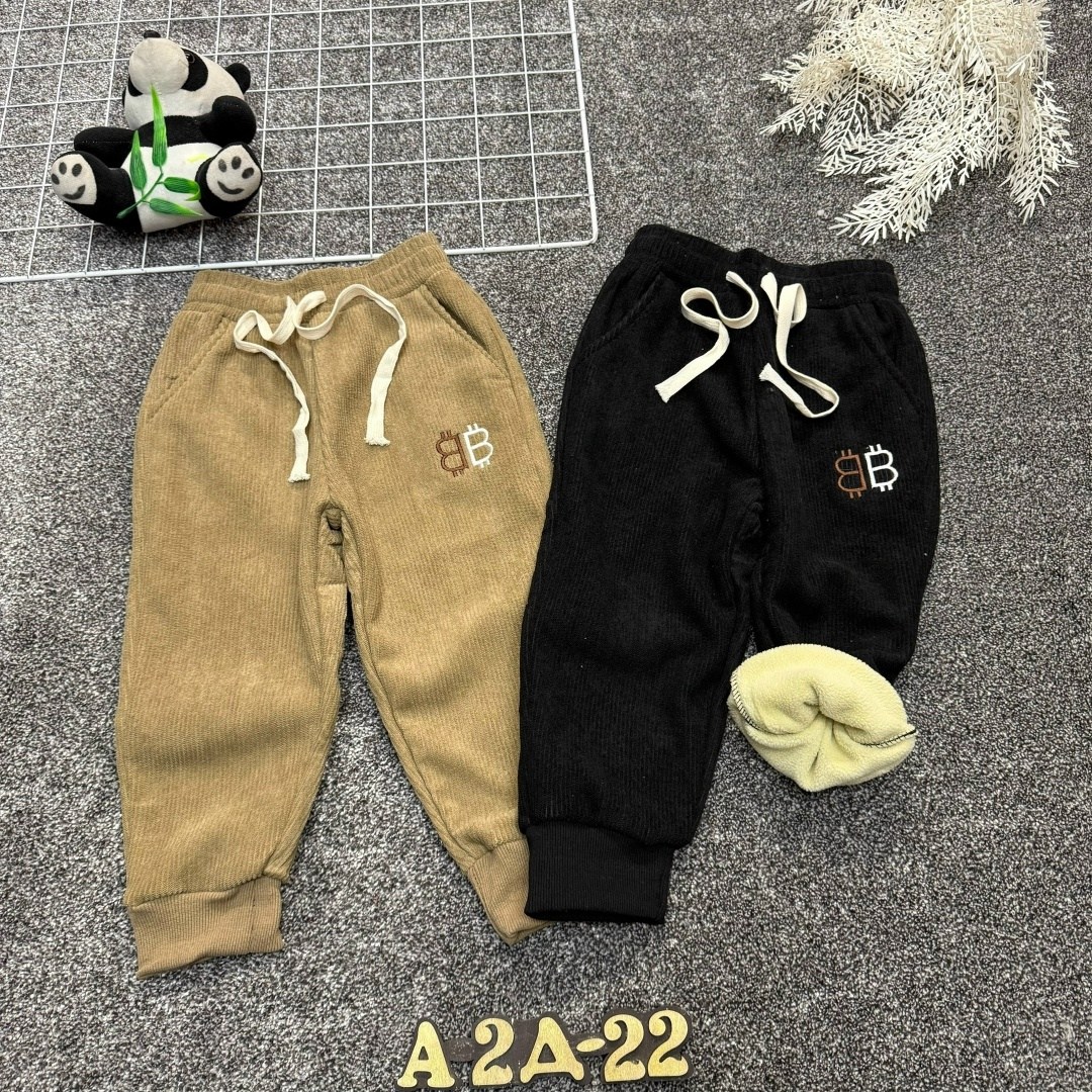 детские штаны,штаны с начесом,брюки детские,брюки для мальчика,повседневные штаны