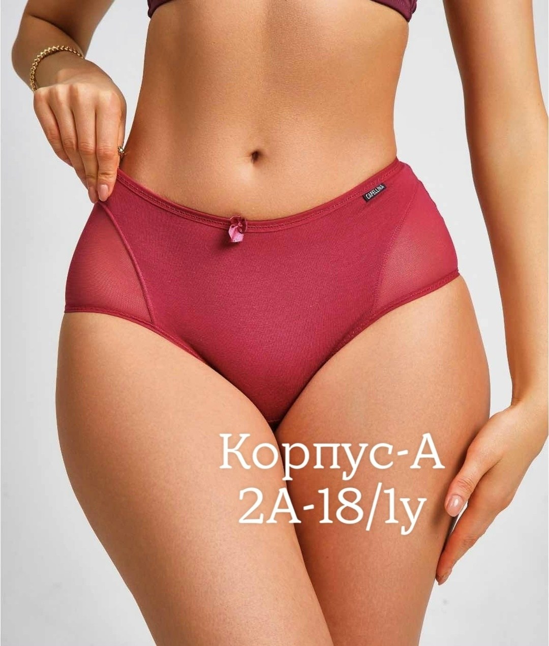 трусы слипы бежевые женские,женская трусы,слипы женские трусы,трусы для женщин,трусы женские с высокой посадкой