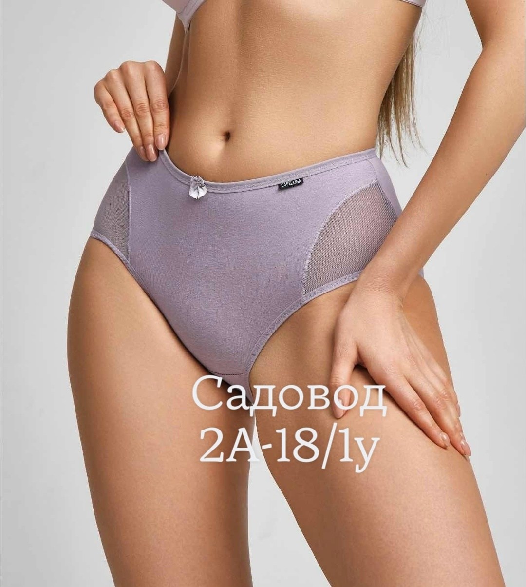 трусы слипы бежевые женские,женская трусы,слипы женские трусы,трусы для женщин,трусы женские с высокой посадкой