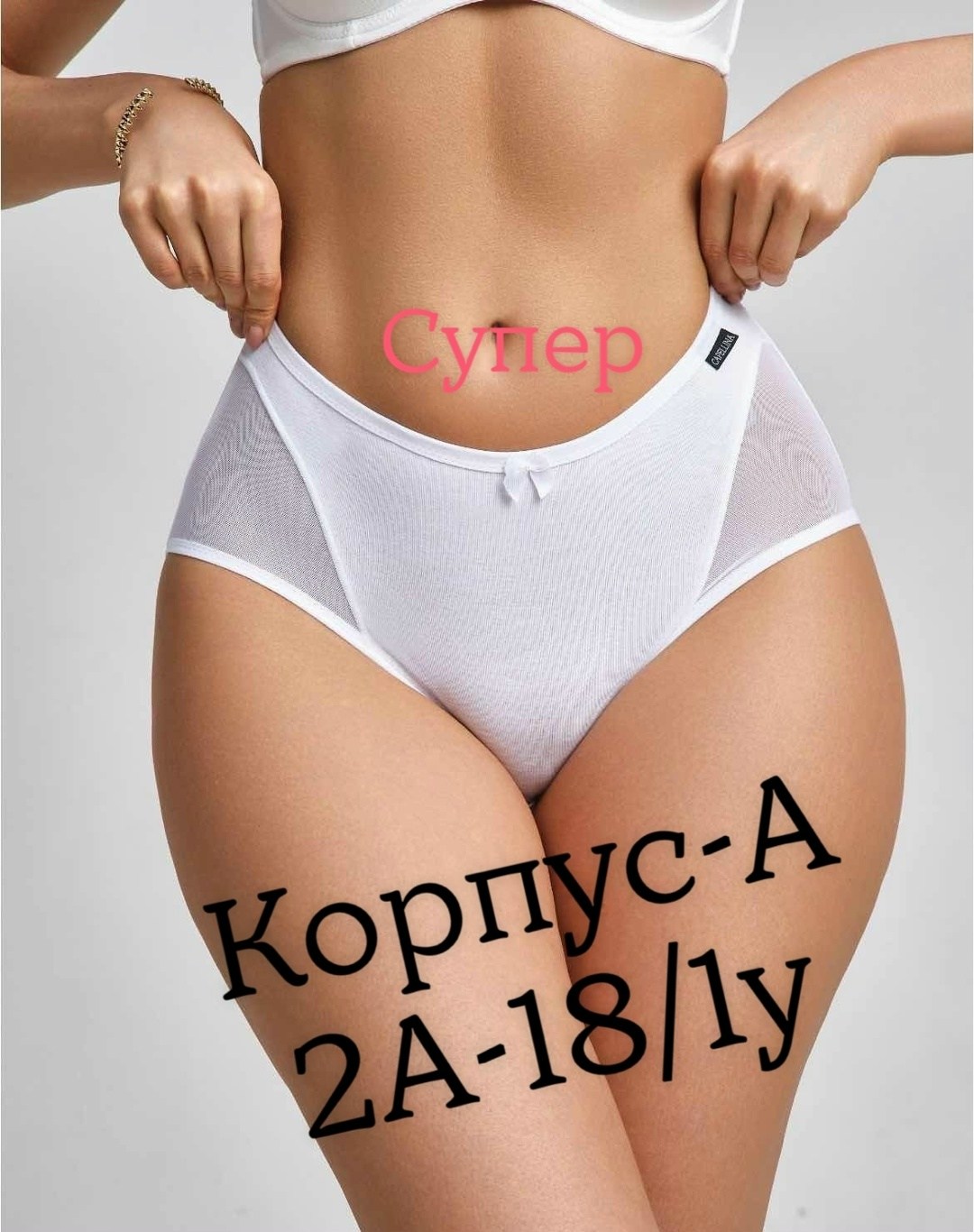 трусы слипы бежевые женские,женская трусы,слипы женские трусы,трусы для женщин,трусы женские с высокой посадкой