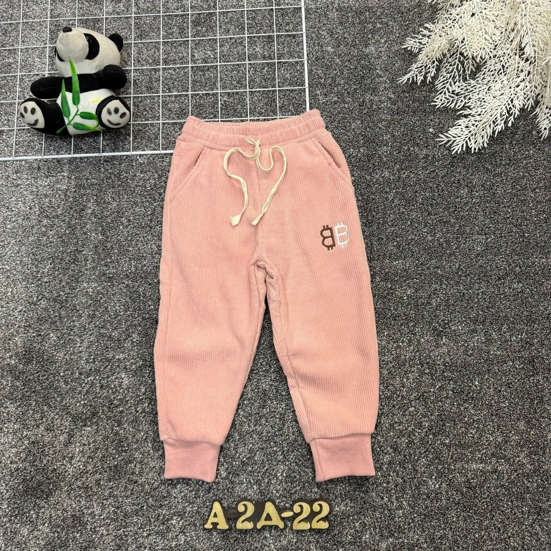 детские штаны,штаны с начесом,брюки детские,брюки для мальчика,повседневные штаны