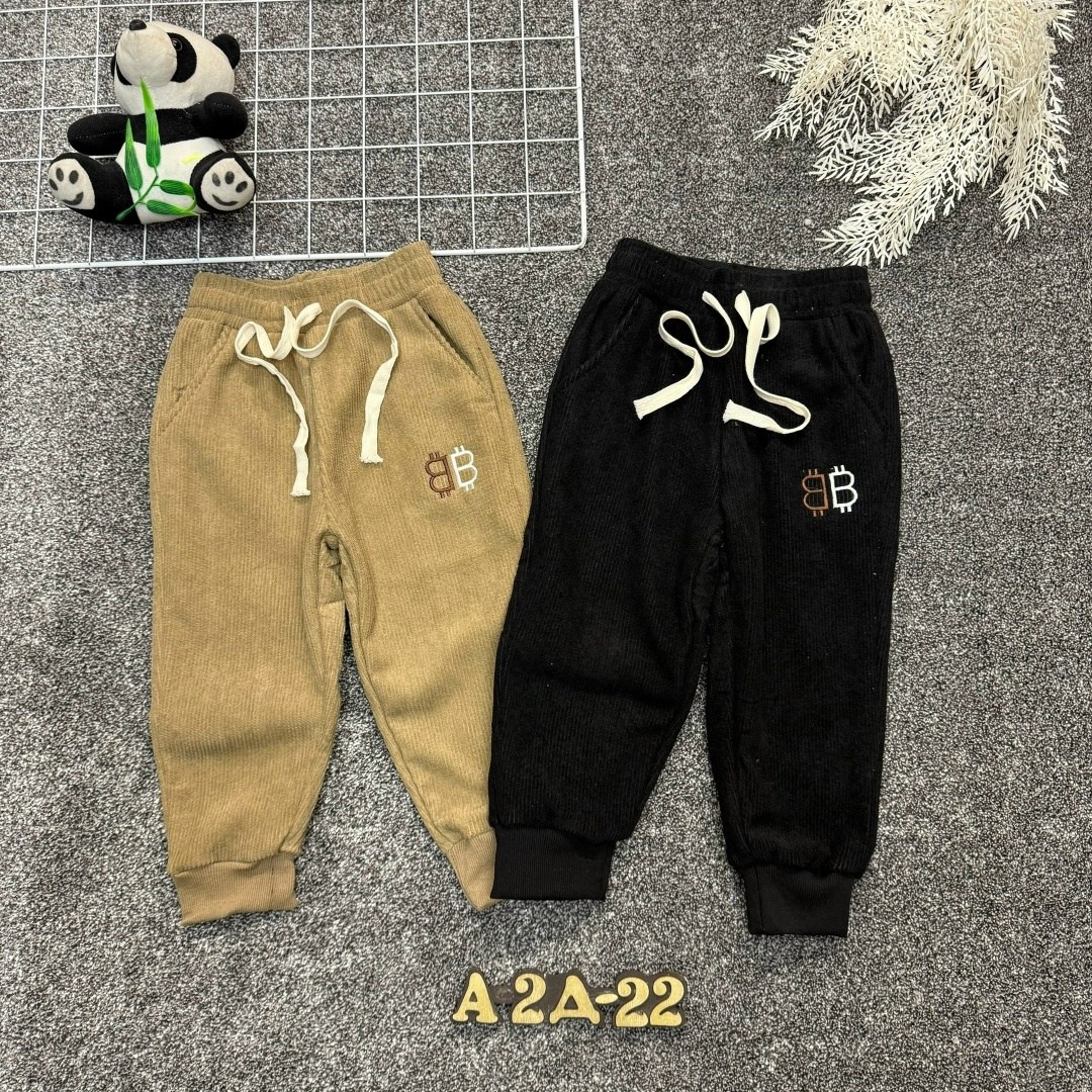 детские штаны,штаны с начесом,брюки детские,брюки для мальчика,повседневные штаны