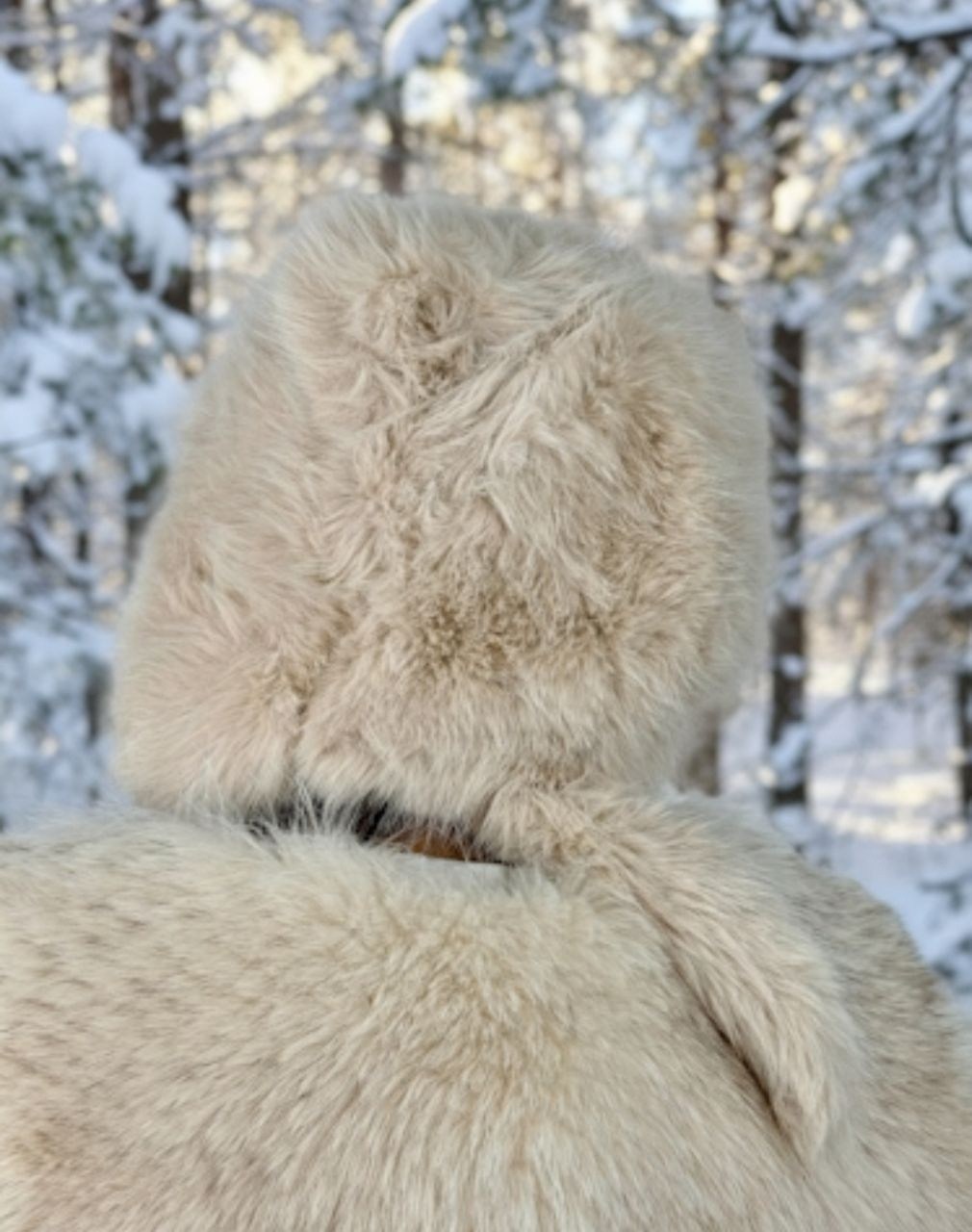 шапка ушанка меховая,шапка меховая,женская меховая шапка,шапка ушанка меховая женская,шапка ушанка женская