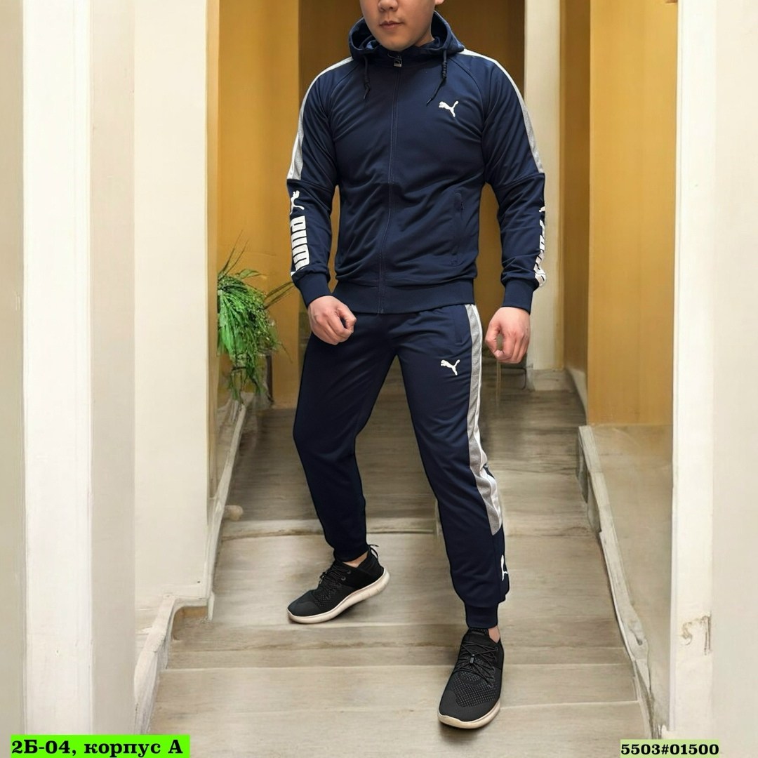 спортивные костюм,спортивный костюм для мужчин,спортивный костюм мужской puma,спортивный костюм puma,мужские спортивные костюмы