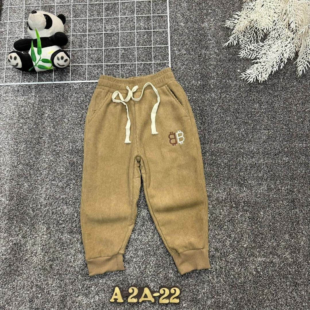 детские штаны,штаны с начесом,брюки детские,брюки для мальчика,повседневные штаны