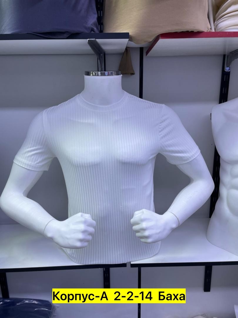 мужская футболка,футболки для мужчин,футболки и майки,майки в,футболка мужская белая